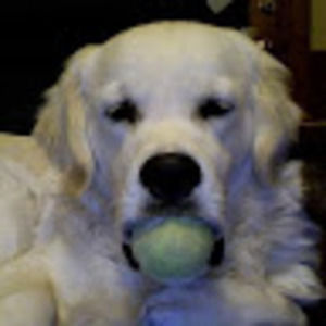 Meet your Posher, Jane